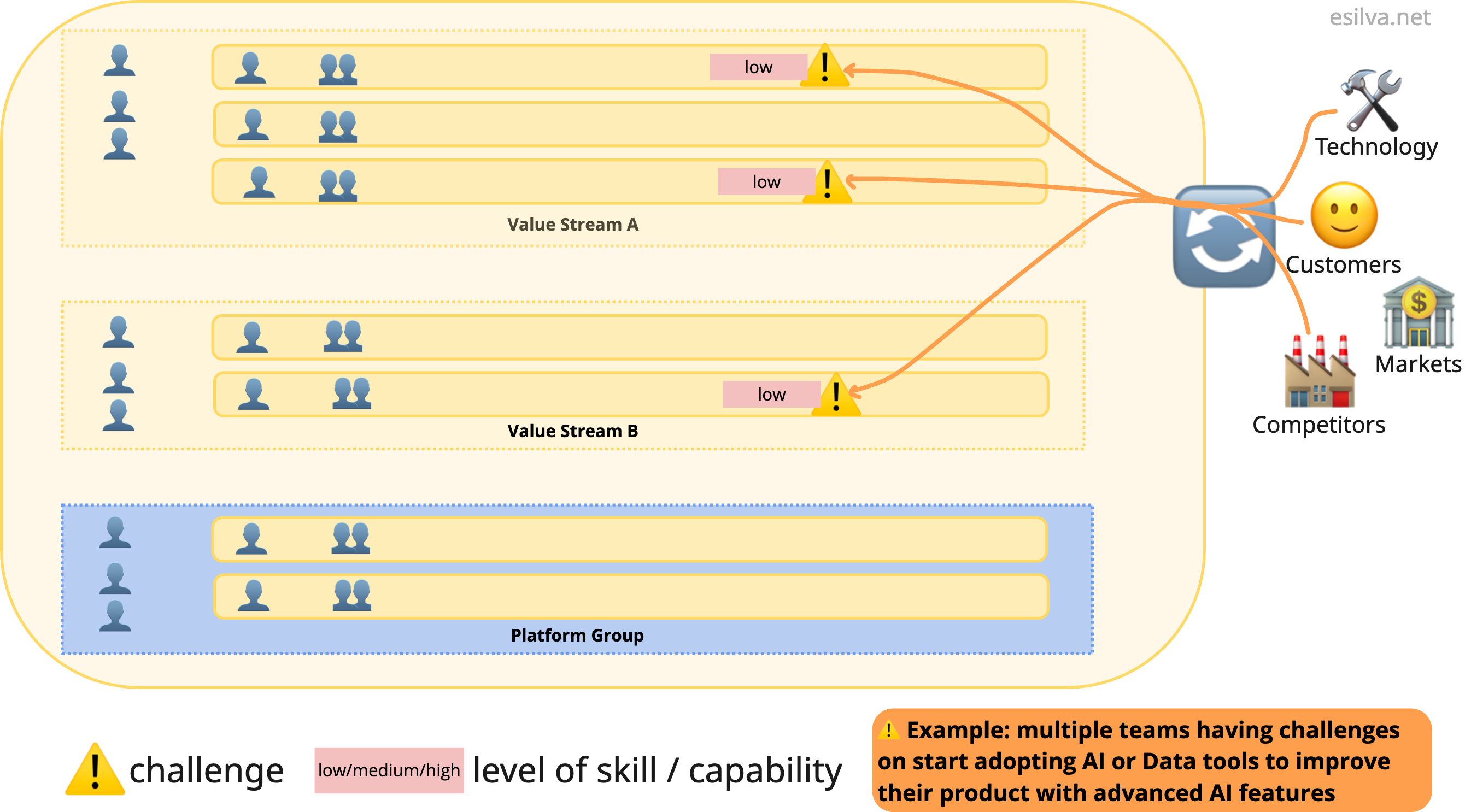 Organization with low skills/capability